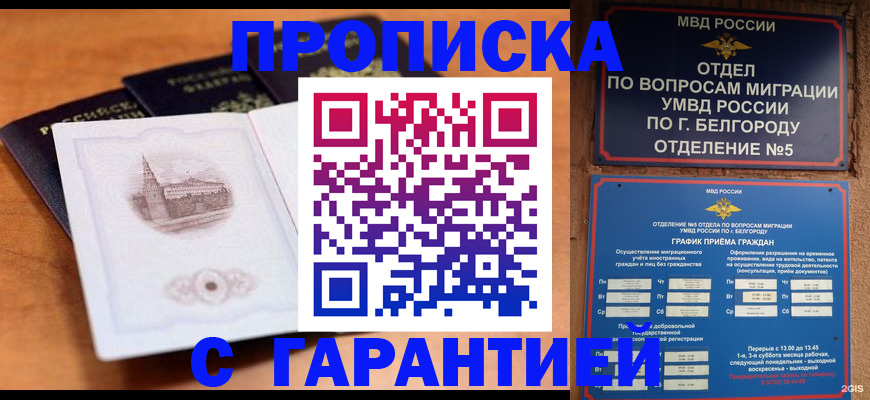 прописка поиск в Балашихе